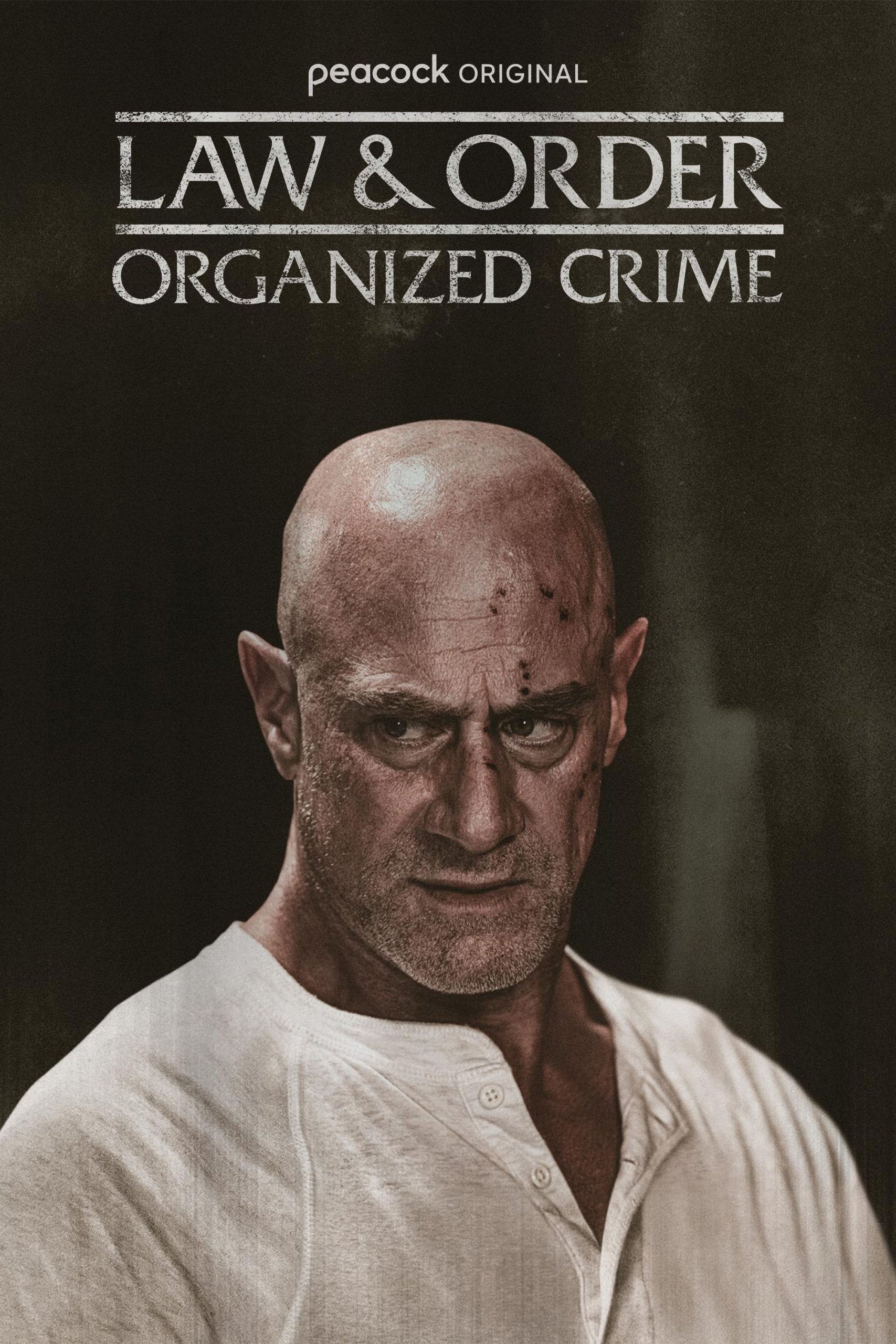 مسلسل Law & Order: Organized Crime موسم 5 حلقة 5